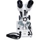 Binocular Microscope XTX-6C (10x; 2x/4x) Preview 2